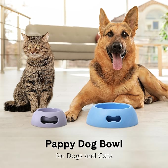 United Pets Pappy Dog Bowl for Dogs and Cats | BPA Free Premium Water and Food Pet Bowls Feeder for Small to Medium Pets | Eco Friendly & Pet Safe Food Grade Materials | Made in Italy | Pink -12 Oz