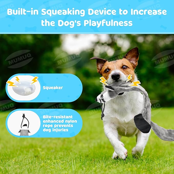 Dog Flirt Pole, Retractable Teasing Stick with Lure, Interactive Dog Toy for Outdoor Training Play Exercise, 40 Inch Flirt Stick for Small Medium Large Dogs
