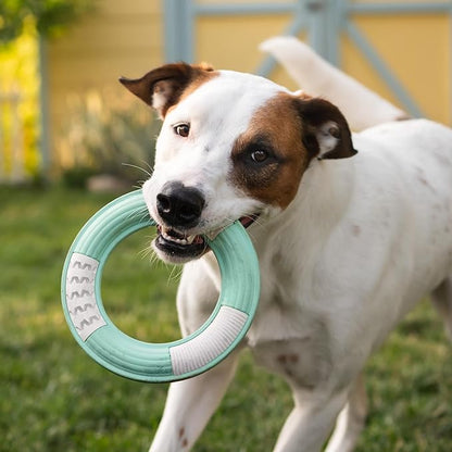 Chew King by Mammoth Dental Dog Toy Collection, Ring Clinically Proven to Remove Plaque