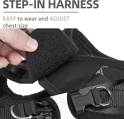 PUPTECK Adjustable Dog Harness Collar and Leash Set Step in No Pull Pet Harness for Small Medium Dogs Puppy and Cats Outdoor Walking Running, Soft Mesh Padded Reflective Vest Harnesses, Black M