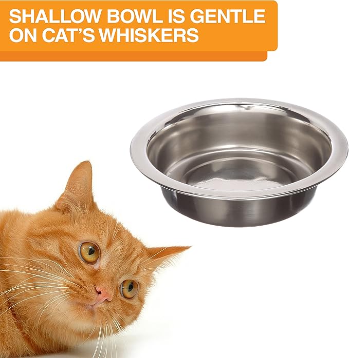 Neater Feeder Deluxe Mess-Proof Elevated Cat Bowls, 2 Height Adjustable (6” & 7.5”) No-Spill Raised Cat Bowl Stand, Whisker Friendly Stainless Steel Dishes for Indoor Cats, Made in USA, Aquamarine