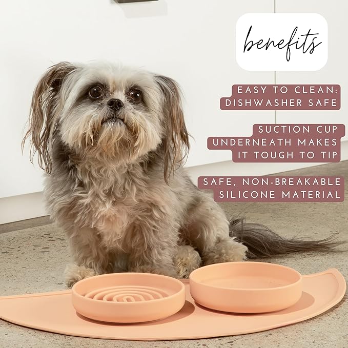 Should We Go? Dog Water Bowl - The Perfect Dish No-Spill, Less Mess Non-Tippable Water & Food Bowl, Pure Silicone with Suction Cup, Fits 2 Cups 6” Across x 1.25” Tall, Ideal for All Pets, Small-Blush