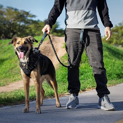 Waist Leash for Dog Walking, Waist Dog Leash for Running, Hands Free with Metal Quick-Release Buckle, Rope Bungee, Neoprene Lumbar Support