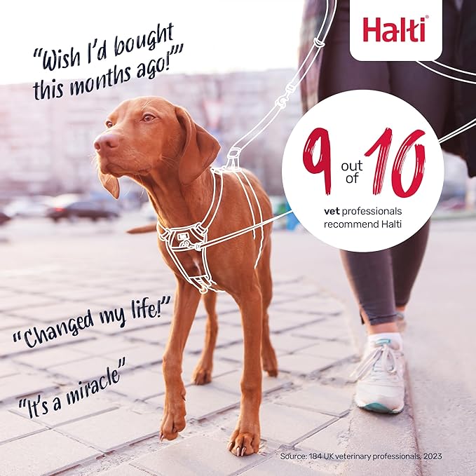 Halti No Pull Harness - Stop Your Dog Pulling on The Leash. Adjustable, Lightweight and Easy to Use. Reflective Dog Training Harness for Medium Dogs (Size M, Desert Sand)