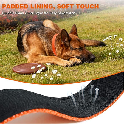 Taglory Reflective Dog Collar with Safety Locking Buckle, Soft Neoprene Padded Dog Collar for Large Dogs, Metal D-Ring, Adjustable Nylon Neck Strap for Daily Walking, Training & Running, Orange, L