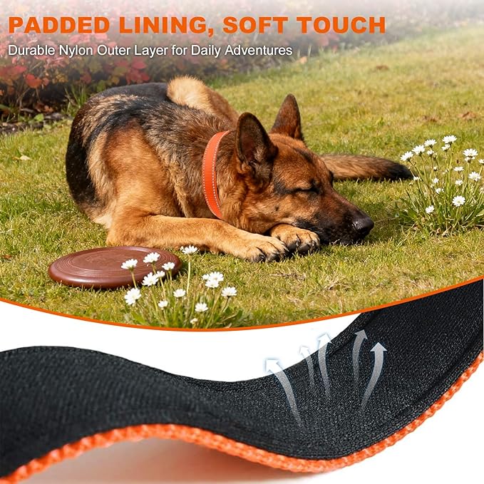 Taglory Reflective Dog Collar with Safety Locking Buckle, Soft Neoprene Padded Dog Collar for Extra Large Dogs, Metal D-Ring, Adjustable Nylon Neck Strap for Walking, Training & Running, Orange, XL