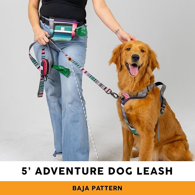 Embark Adventure Dog Leash – Strong & Sturdy for Small, Medium & Large Dogs (Baja, 5 Ft)