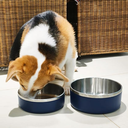 2 Pack Stainless Steel Dog Bowls, Outdoor Dog Water Bowl with Non Slip Rubber Bottom, Dishwasher Safe, Easy to Clean,40oz&64oz Blue