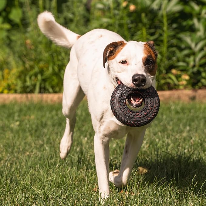 Chew King by Mammoth Supreme Rubber Ring Dog Toy, Durable Heavy-Duty Chew Toy for Aggressive Chewers, Thick Treaded Ring for Power Chewing & Interactive Play, Medium 6.2"