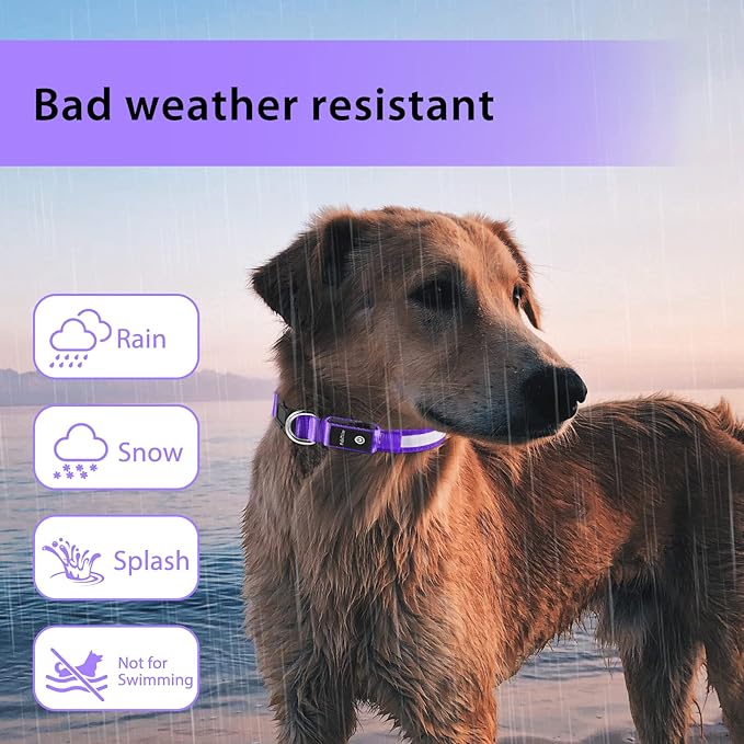 PcEoTllar Light up Dog Collar for Night Walking - LED Dog Collar Light Rechargeable Color Changing, Glow in the Dark Dog Collars Waterproof Glowing Dog Collars for Large Small Medium Dogs