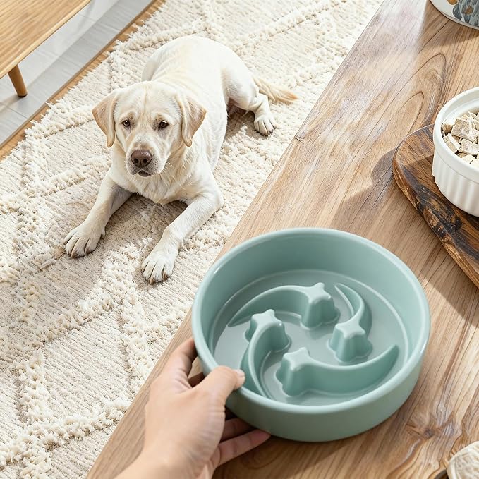 Ceramic Slow Feeder Dog Bowls Small Breed, 0.6 Cups Slow Eating Dog Bowl, Anti-Gulping Puppy Food Bowl Reduce Choking, Puzzle Maze Design Pet Dishes for Fast Eaters, 6.3 inch - Light Green
