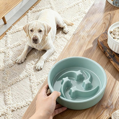 Ceramic Slow Feeder Dog Bowls Small Breed, 0.6 Cups Slow Eating Dog Bowl, Anti-Gulping Puppy Food Bowl Reduce Choking, Puzzle Maze Design Pet Dishes for Fast Eaters, 6.3 inch - Light Green