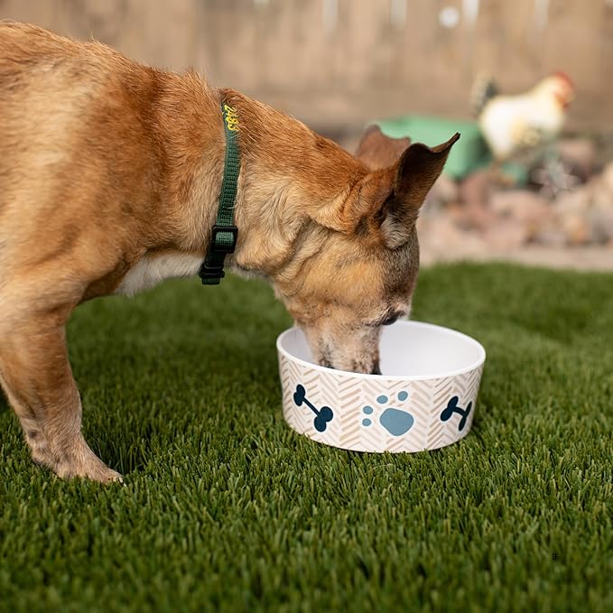 Loving Pets Dolce Moderno Ceramic Look Dog Bowl – Modern Melamine Dog Food Bowl & Dog Water Bowl – Durable, Non-Slip Pet Dish for Small & Medium Dogs – Dishwasher Safe Dog Bowl (Small, 16 oz)
