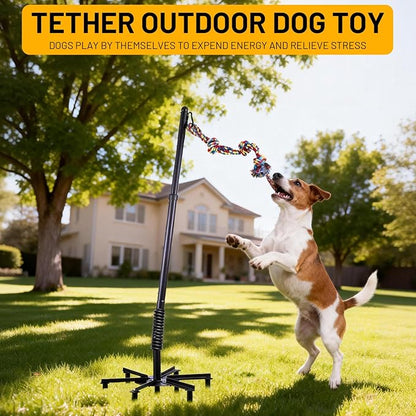 Tether Tug Outdoor Dog Toy,Tether Tug For Large Dogs,Spring Pole For Dogs in Park,Yard,Lawn,2 Rope Toy and Bell Pull Chase and Solo Play,Tether Interactive Dog Tug Toy,For Medium Small Dogs(Black)