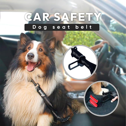 Bond - Blue Dog Running Leash Hands Free with Pouch, Hands Free Leash for Large Dogs, Pet Lead Running Belt for Walking & Canicross Belt, Includes Waist Jogging Fanny Pack & Pet Car Seat Belt Safety