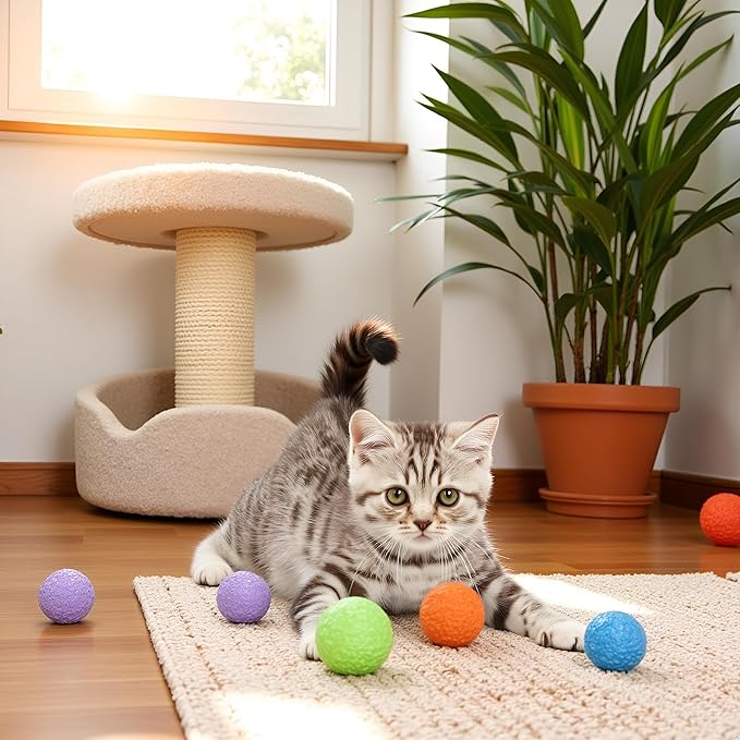5 Pcs Cat Bell Crystal Ball Sound Pet Game Kitten Plastic Interactive Rattle for Indoor Cats Balls with Bells Teaser, Cat Toys for Bored Indoor Adult Cats,Random, As the Pictures