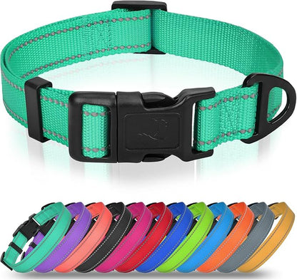 Joytale Dog Collars for Small Dogs, Feather-Light Double-Sided Reflective Nylon Collar for Night Safety, Adjustable Quick-Release for Growing Puppies, Teal, S (5/8" Width)