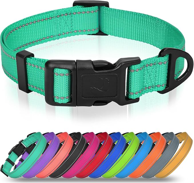 Joytale Extra Large Dog Collar, Wide Double-Sided Reflective Nylon Collar for Night Safety, Adjustable Quick-Release for Gentle Giants, Teal, XL (1 1/4" Width)