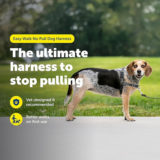 PetSafe Easy Walk Harness for Dogs - Pull-Free Walks - Patented Martingale Loop Design - Front Chest Leash Attachment - Comfort Straps - Breathable Harness Design - Small/Medium, Charcoal/Black