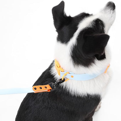WLK1006D-5SET Luna Large 8FT Adjustable 6-in-1 Waterproof Hands-Free Leash and Collar with LED Flashlight, Bag Dispenser, and Poop Bag Holder, Fishbowl