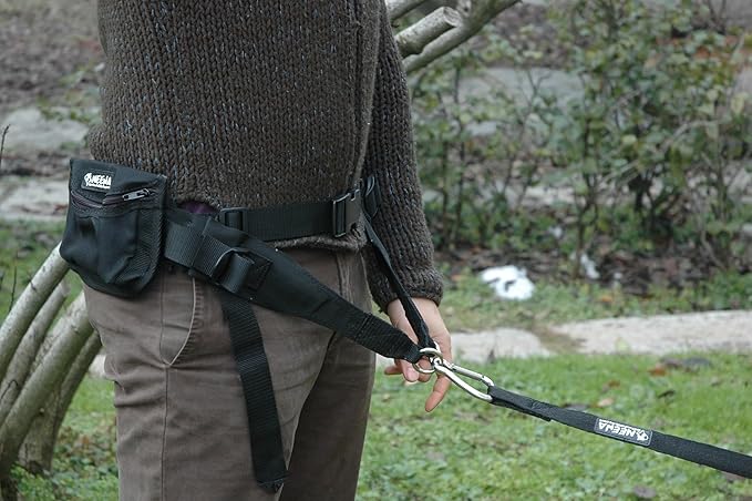 Neewa Racing Tug Line with Bungee for 2 Dogs (2m (6.5ft) - 2 Dogs, Black) - Ideal Lead for Hands Free Walking, Running, Canicross, Bikejoring - This Leash has Handle in the Middle to Allow Dog Control