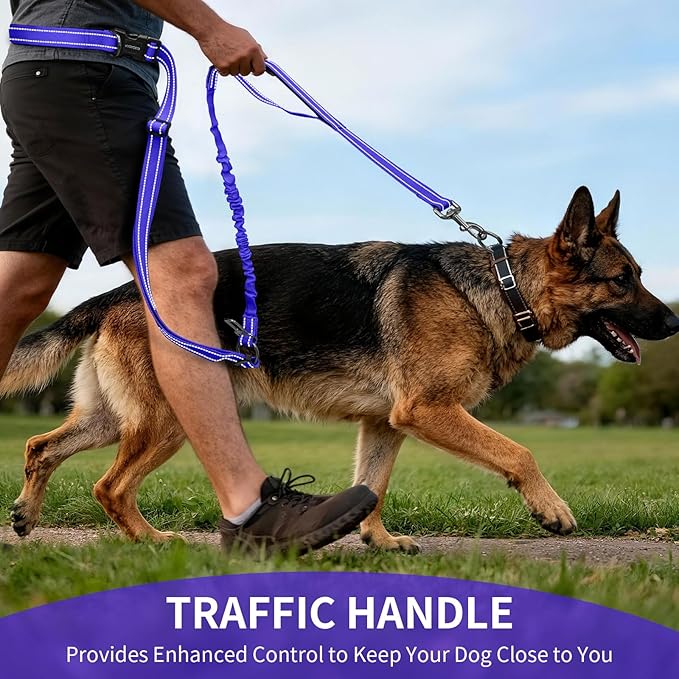 Kazazoo Hands-Free Dog Leash with 6-9FT Adjustable Length - Heavy Duty No Pull Bungee Design, Reflective Safety for Walking, Jogging & Training | Suitable for Medium to Large Dogs Blue L
