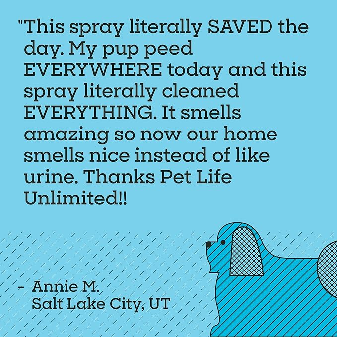 Pet Life Unlimited SuperFoam Spray, Carpet and Surface Cleaner for Dog Urine, 16 oz, Strong Odor & Stain Remover, Plant-Based Formula, Natural Juniper Leaf Scent, Two-Way Spray, USA Made (Pack of 3)