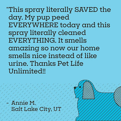 Pet Life Unlimited SuperFoam Spray, Carpet and Surface Cleaner for Dog Urine, 16 oz, Strong Odor & Stain Remover, Plant-Based Formula, Natural Juniper Leaf Scent, Two-Way Spray, USA Made (Pack of 3)
