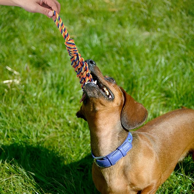15 Pack Dogs Rope Toys for Large/Medium/Small Aggressive Chewers, Tough Cotton Dental Rope Toys Kit, Heavy Duty Dog Tug of War Toy for Chewing, Playing, Teething, Teeth Cleaning, Tossing and Catching
