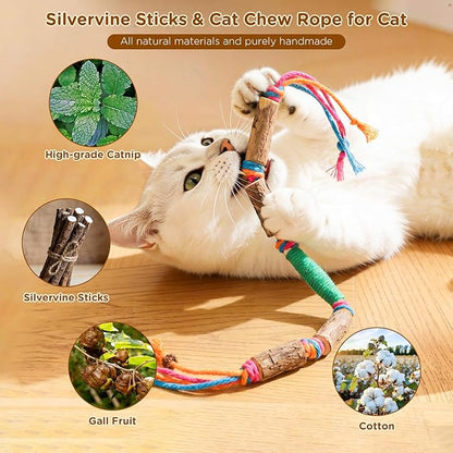 Catnip Toys for Indoor Cats - Silvervine Sticks & Cat Chew Toys for Teeth Cleaning - Refillable Natural Catnip & Silvervine Kit for Kittens & Adult Cats - 8 Pack
