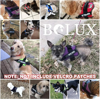 Bolux Dog Harness, No-Pull Reflective Dog Vest, Breathable Adjustable Pet Harness with Handle for Outdoor Walking - No More Pulling, Tugging or Choking (Blue, XS)