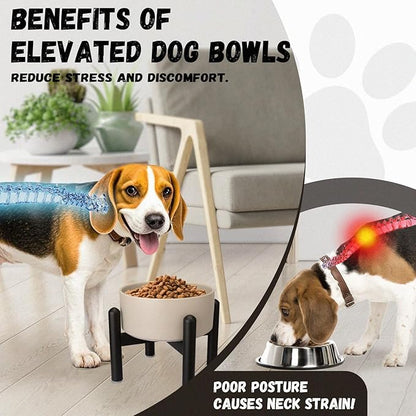 Raised Ceramic Dog Bowl - Elevated Food Water Dish with Stainless Steel Stand - for Small to Medium Dogs - 6 Inch - 2 Cups (28.75 fl oz) - Green