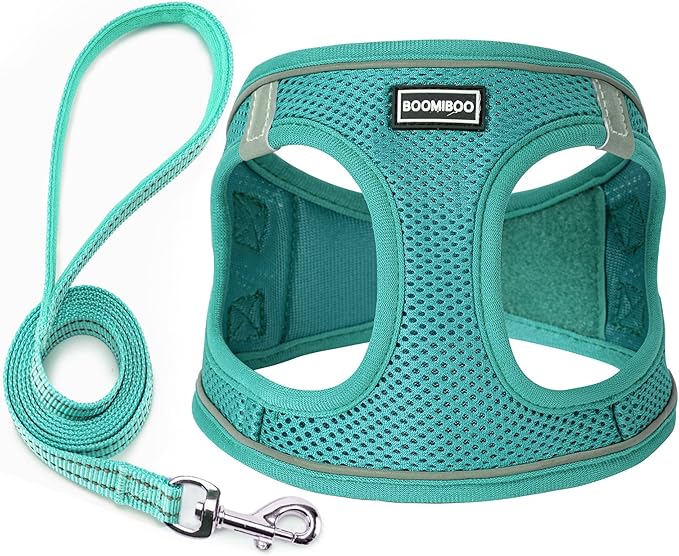 Dog Harness with Leash Set, No Pull Adjustable Reflective Step-in Puppy Pet Vest Harnesses for Small Medium Large Dogs and Cats,Forest Green XXS