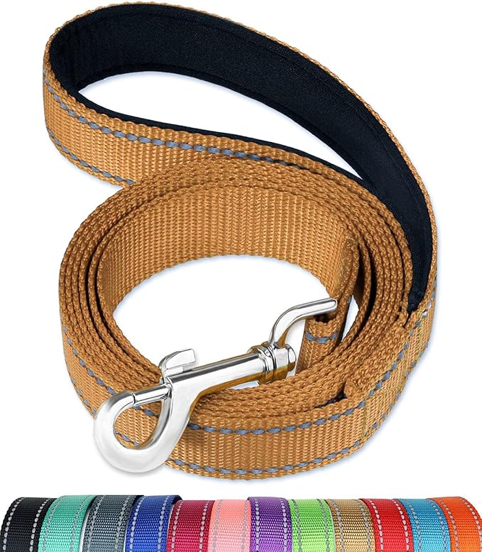 FunTags 6FT Reflective Dog Leash with Soft Padded Handle for Training,Walking Lead for Large & Medium Dog,1 Inch Wide,Khaki