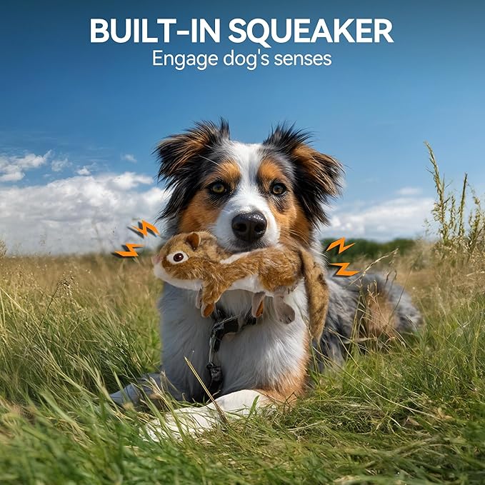 ALL FOR PAWS Squirrel Squeaky Doy Toy, Squirrel Dog Toy for Medium Large Breed, Puppy Fetch Toy with Squeaker, Plush Chew Dog Toy, 13.8 x 3.9 x 4.1inches, Chipmunk-L