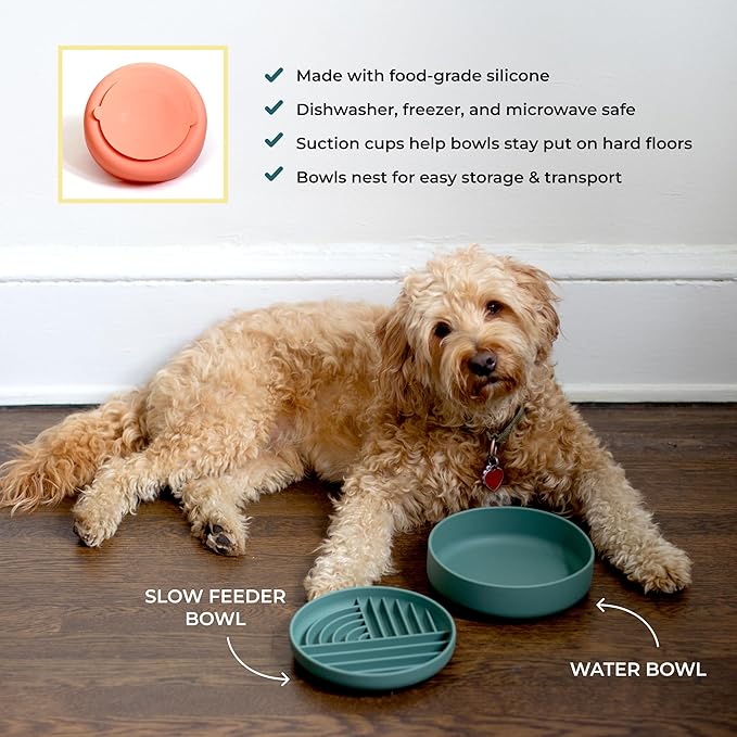 Slow-Feeder & Water Bowl Set by The Dog Tale | Food-Grade Silicone Dog Bowls, BPA-Free, Dishwasher Safe, Freezer Safe (Sherbet)