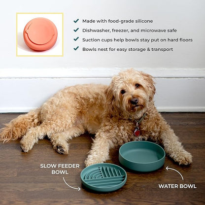 Slow-Feeder & Water Bowl Set by The Dog Tale | Food-Grade Silicone Dog Bowls, BPA-Free, Dishwasher Safe, Freezer Safe (Sherbet)