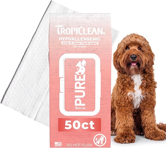 Pure Hypoallergenic Wipes, 50ct
