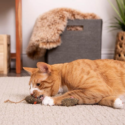 SmartyKat Instincts 4-Pack HappyNip Mouser Mayhem Compressed Catnip & Silvervine Cat Toys - Natural, 4-Pack