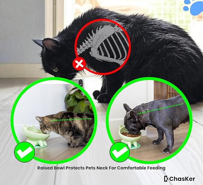 Ceramic Slow Feeder Bowl, Elevated CAT & Dog Slow Feeder, Wide-Mouth, PAW Design, Stylish Design, for Fast Eaters, Non Slip, Pets, Small & Medium Sized Breeds, (Green)