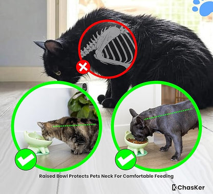 Ceramic Slow Feeder Bowl, Elevated CAT & Dog Slow Feeder, Wide-Mouth, PAW Design, Stylish Design, for Fast Eaters, Non Slip, Pets, Small & Medium Sized Breeds, (Green)
