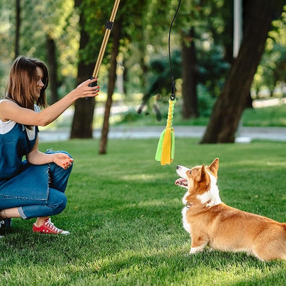 Flirt Pole for Dogs, Interactive Dog Toys Extendable Teaser Wand with Lure Chewing Toys, Chase and Tug of War for Small Medium Large Dogs Training Playing Exercise