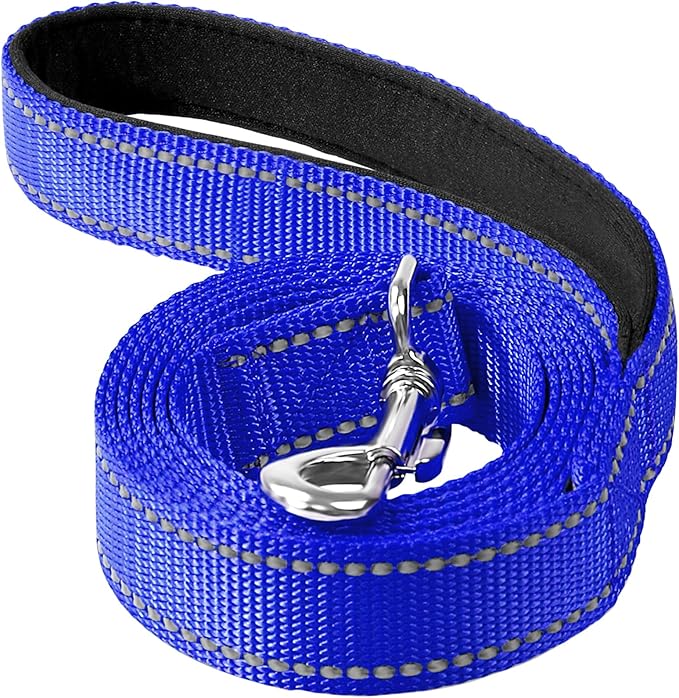 Reflective Dog Leash 6ft Soft Padded Handle Nylon Lead for Medium & Large Dogs, Durable Walking Training Leash for Night Safety (Royal Blue,1Inch Wide)