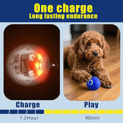 BIONEMAGILI Interactive Self-Moving Pet Toy Ball - Motion-Activated Auto Rolling, Military-Grade Chew Resistant, USB-C Rechargeable for Small Dogs & Cats (Orange, Small1