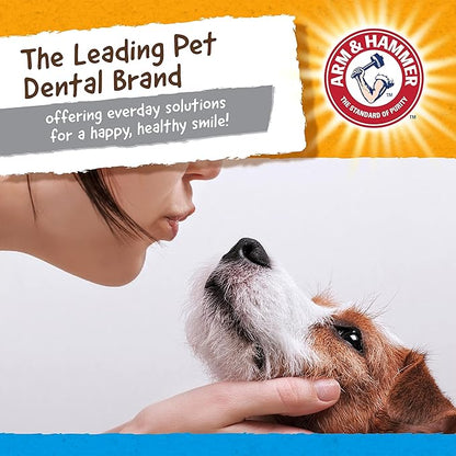 Arm & Hammer for Pets Nubbies Dental Toys Gator Dental Chew Toy for Dogs Best Dog Chew Toy for Moderate Chewers Reduces Plaque & Tartar Buildup Without Brushing, Gator (Pack of 1)