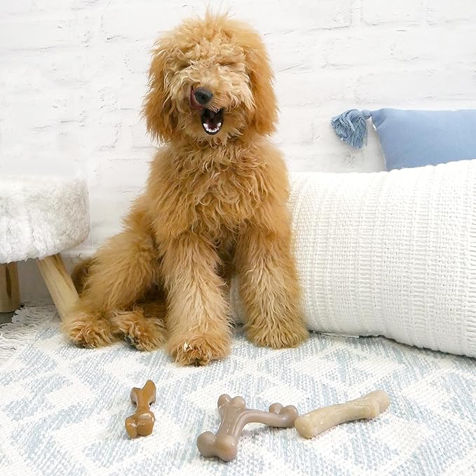 Nylabone Gourmet Style Femur, Wishbone, & Stick Strong Chew Toy for Puppies, Bacon, Chicken & Peanut Butter Flavor, Small - Up to 25 Ibs, 3 Pack