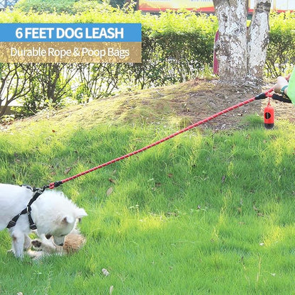 BAAPET 2/4/5/6 FT Dog Leash with Comfortable Padded Handle and Highly Reflective Threads for Small Medium and Large Dogs (6FT-1/2'', Red)