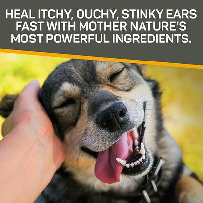 Absorbine Silver Honey Rapid Ear Care Vet Strength Concentrated Doses, 5 Ear Drops for 10 Days on 1 Ear for Dogs & Cats, Medical Grade Manuka Honey & MicroSilver BG