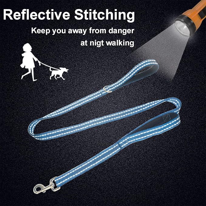 Dual Padded Handle Standard Dog Leashes with Reflective Stitching,360° Rotatable Heavy Duty Metal Buckle,D-Ring,Durable Nylon,for Medium Sized Dogs from 20 to 60 Pounds Walking and Training Blue 5Ft