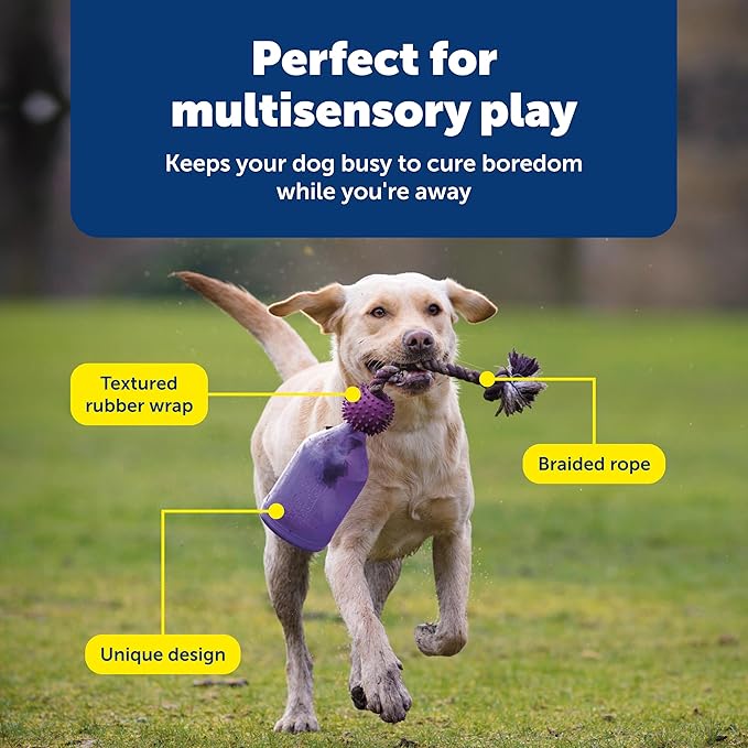 PetSafe Busy Buddy Tug-A-Jug - BPA-Free Refillable Treat Holder for Heavy Aggressive Chewers - Multi-Sensory Stimulation to Relieve Boredom, Encourage Play & Slow Down Eating - Medium/Large